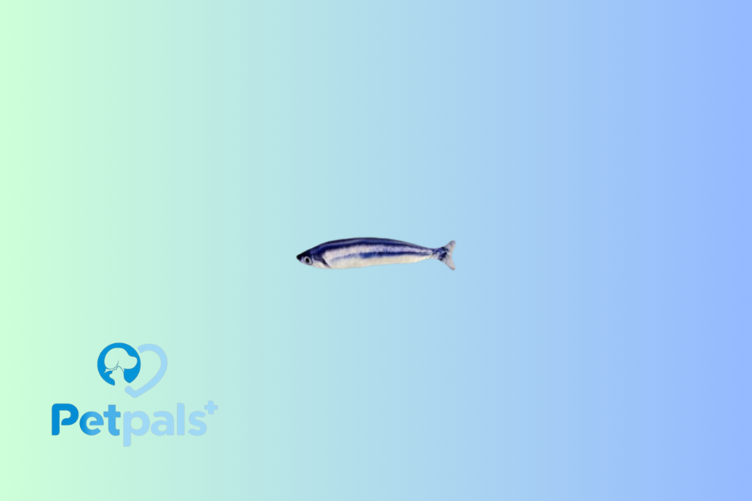 Plush Stuffed Fish Catnip Toy Saury